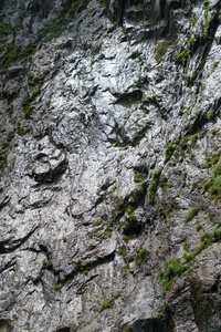 瑞士阿尔卑斯山杜杜兰三峡的神奇森林