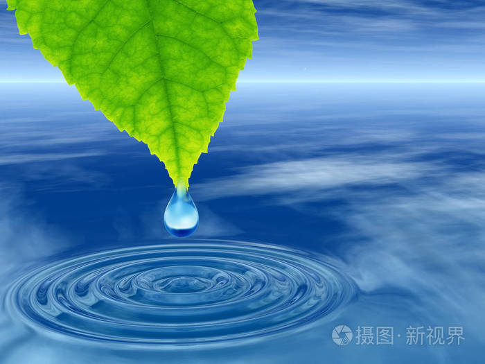 概念或概念清洁泉水或露水从绿色的新鲜叶子上落下,在三维插图蓝色的