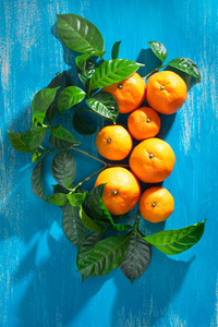 成熟的橘子，绿叶在明亮的蓝色背景上。 俯视图平面布局复制
