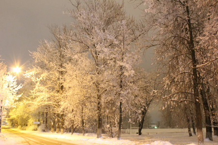 照片景观雪冬晚冬天俄罗斯有很多雪。他躺在地上，树又蓬松又冷。在傍晚的灯光下公园里很美..