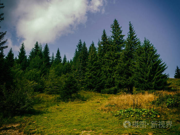 夏季山区景观绿色的草地高高的山丘