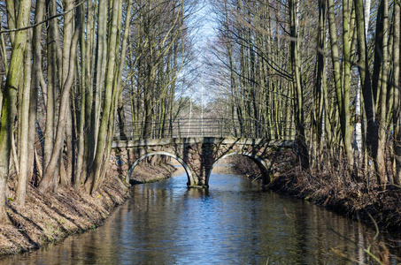 森林里的石桥过河