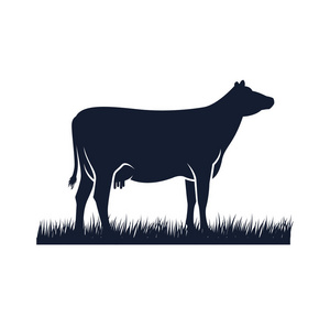 奶牛轮廓矢量图标。 黑色安格斯矢量插图。 奶牛场标志设计