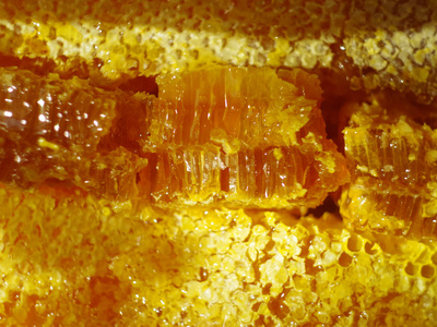 蜜蜂蜂窝蜂窝蜂窝的结构