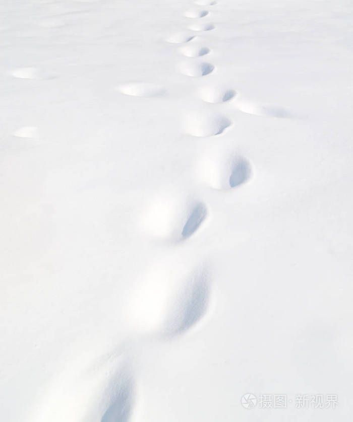 刚下的雪中的脚印照片-正版商用图片16659c-摄图新视界