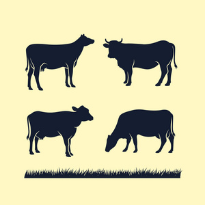 奶牛轮廓矢量图标。 黑色安格斯矢量插图。 奶牛场标志设计