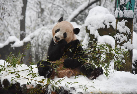 s Zhejiang province,  9 December 2018.