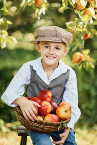 微笑的男孩拿着柳条篮子和苹果在果园.收获概念照片