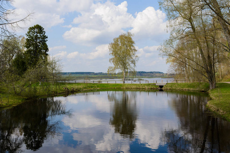 有桦树和湖的俄罗斯景观