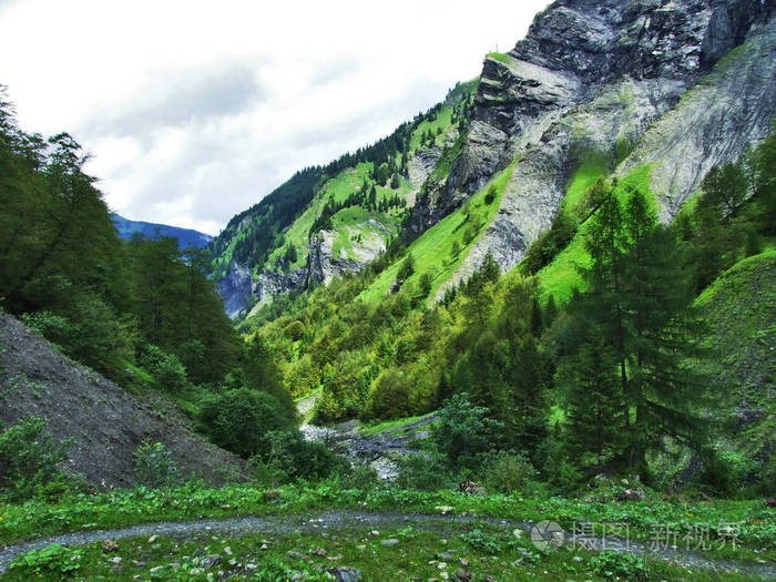 瑞士圣加伦州维斯坦南塔尔山谷的山岩
