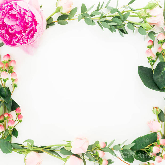 花圈框架粉红色牡丹和玫瑰花金丝桃和桉树枝在白色背景平躺式顶部视图