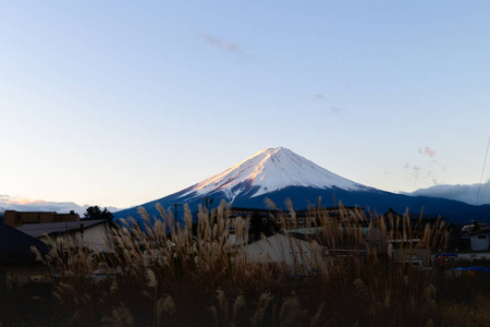 日本山明子武松日出