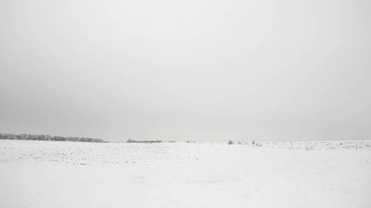 冬天的风景有雪覆盖的乡村。 雪覆盖农村背景