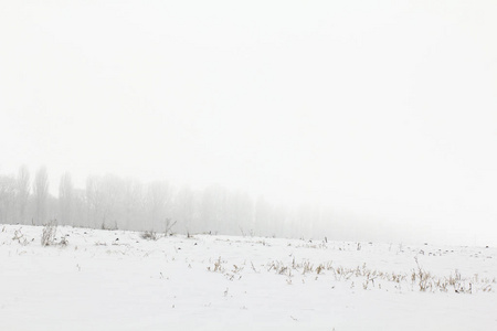 冬天的风景有雪覆盖的乡村。 雪覆盖农村背景