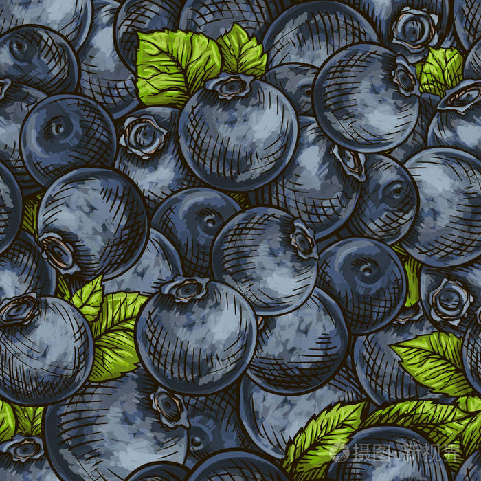 紧密间隔的新鲜浆果和叶子. 蓝莓图案包装设计食品.