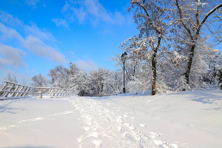 白色的冰浮在河上，背景是白雪覆盖的树木霜的树木，湖上风景如画的冬季景观。