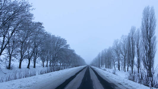 白雪覆盖的空沥青路，两边都有尖顶的霜树，背景
