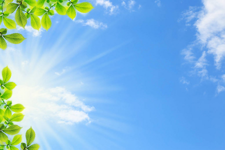 春天绿色蓝天图片