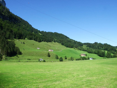 瑞士内罗登阿彭策尔州阿彭策勒兰地区风景如画的牧场和山丘