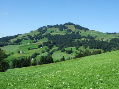 瑞士内罗登阿彭策尔州阿彭策勒兰地区风景如画的牧场和山丘