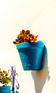 陶瓷花盆，墙上挂着鲜花，装饰着城市空间