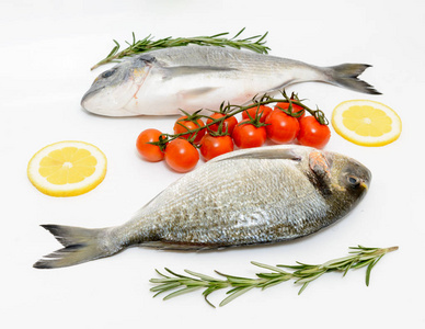 两种新鲜的多拉达鱼，有西红柿柠檬和迷迭香，白色背景