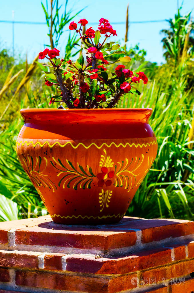 美丽的陶瓷花盆在基座上,装饰着城市空间的花朵