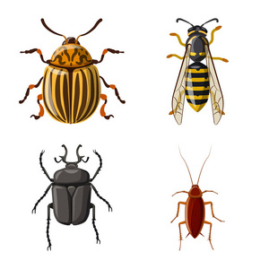 昆虫和苍蝇的孤立对象图标。股票昆虫和元素矢量图标集