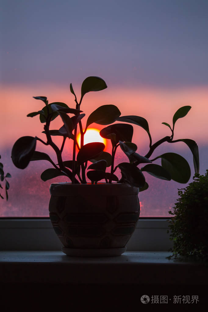 一个盆栽的房子站在窗台上,在夕阳的背景下,一个红色的太阳在冬天疲惫