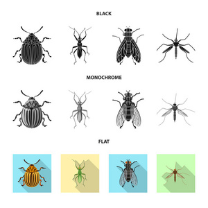 昆虫和飞行标志的孤立对象。网络昆虫和元素股票符号集