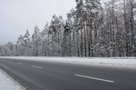 冬天的雪树和道路