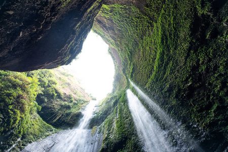 雄伟的瀑布流在热带雨林的岩石悬崖上。 东爪哇印度尼西亚