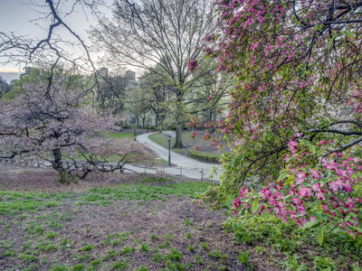 中央公园曼哈顿纽约春天图片