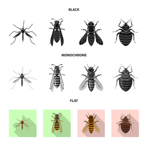 昆虫和飞行标志的向量例证。昆虫和元素存量矢量图的采集