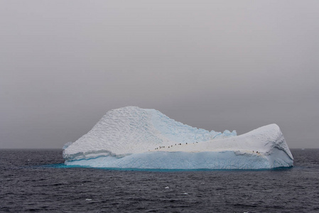 南极海有企鹅的冰山
