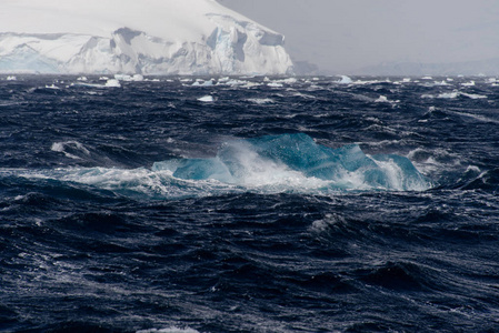 南极海的冰