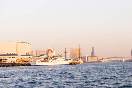 日本东京苏美达河观一条船图片