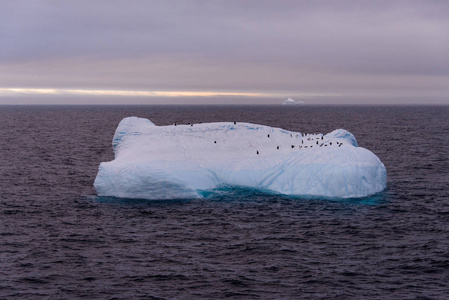 南极海有企鹅的冰山图片