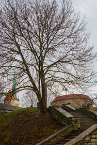 塔林首都爱沙尼亚通往脂肪玛格丽特塔的台阶。 秋天的风景，可以看到圣奥拉夫教堂。