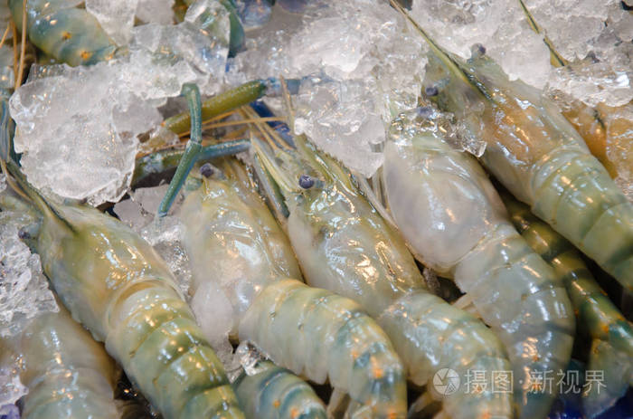 泰国市场有冰的巨型淡水大虾照片 正版商用图片167qsi 摄图新视界