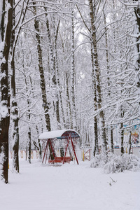 在公园里荡秋千。 在特诺皮尔公园的冬天。 乌克兰西部的冬季旅游。 白雪覆盖的森林树木。