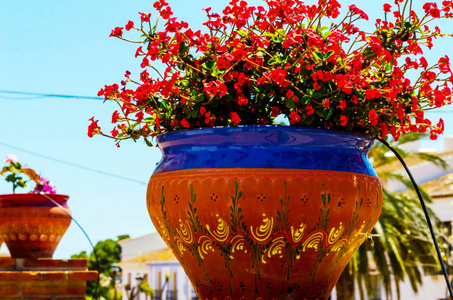美丽的陶瓷花盆在基座上，装饰着城市空间的花朵