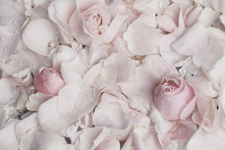 玫瑰花瓣在大理石婚礼假日和花卉花园风格的概念优雅的视觉