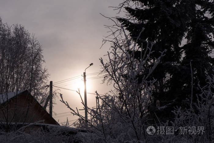 村里的冬夜房子的屋顶和一根柱子在树上挂着一盏灯笼上面覆盖着海霜