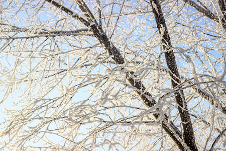 冬季景观。 白雪皑皑的大自然。 白雪覆盖的森林。 圣诞节的天气。