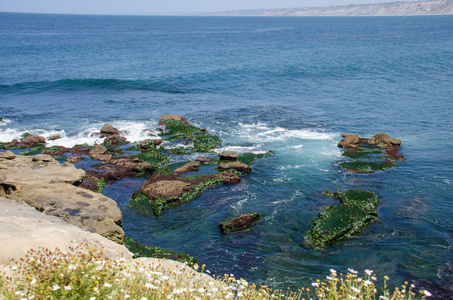 加州拉荷亚的岩石海岸线眺望太平洋
