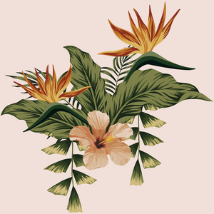 时尚夏季热带花卉构图植物印花。 芙蓉留下美丽的天堂之鸟花。 弹簧壁纸