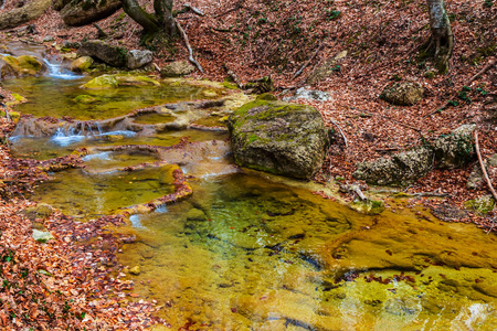 高山峡谷里的小河