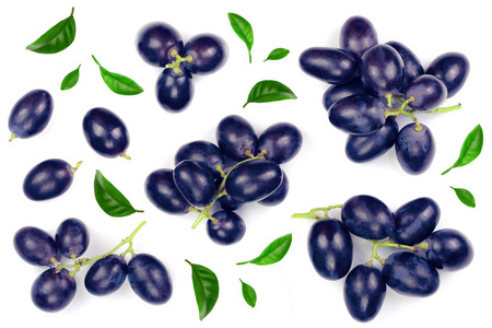 蓝色的葡萄被隔离在白色的背景上。顶部视图。平躺模式