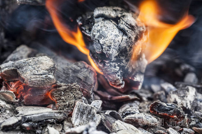 烧煤和火焰背景在烤架上